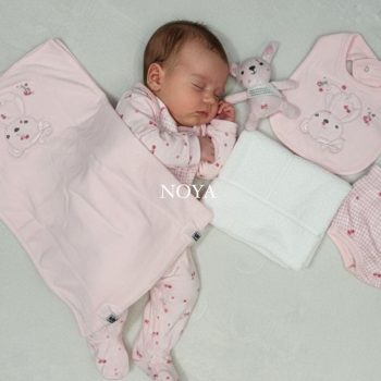 Hanging Gift Set - 10 Pcs - Pink Bear